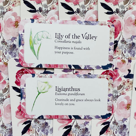 gėlių etiketės akvareliniais rožiniais rėmeliais, dvi skirtingos kortelės — Lily of the Valley ir Lisianthus, sluoksniuotos ant fono