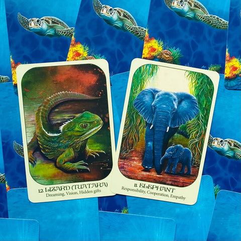 Animal Voices Oracle kortos