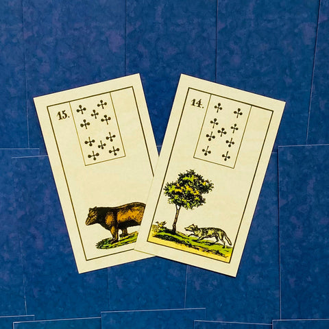 Lenormand kortos, dvi priekinės kortos (14 Medis ir 15 Lokys) su spalvotais piešiniais ant mėlyno fono