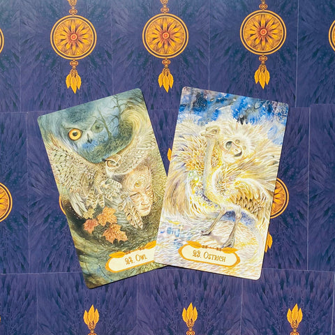 Tarot kortos su iliustracijomis – atviri Pelėda (tamsiai mėlyna) ir Stručas (šviesi auksinė) variantai, fotografuoti iš viršaus šiek tiek kampu