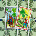 Tarot kortos, dvi kortos parinktyje (Six of Wands ir Seven of Wands) rodomos iš priekio ant žalio augalinio fono