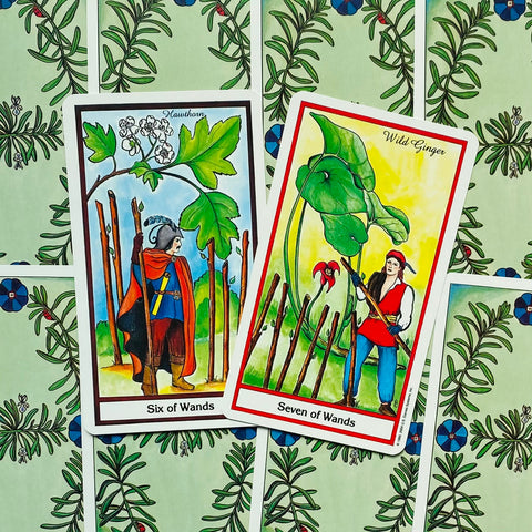 Tarot kortos, dvi kortos parinktyje (Six of Wands ir Seven of Wands) rodomos iš priekio ant žalio augalinio fono