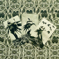 Tarot kortos su tamsiomis varno ir kaukėto personažų iliustracijomis, trijų kortų išdėstymas ant ornamentuoto žalio fono, akcentuotos detalės