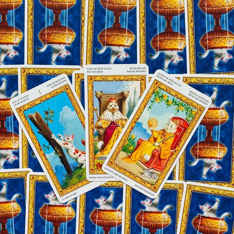 Tarot kortos su kačių iliustracijomis, trys atverstos kortos su aukso rėmais centre ant mėlyno ornamentuoto galinio rašto