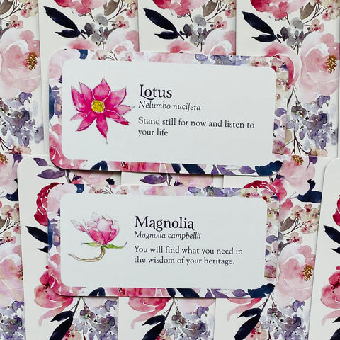 Orakulo kortelės su rožiniais gėlių rėmeliais, matomos dvi versijos – Lotus ir Magnolia ant baltos kortelės