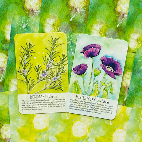 Soulflower Plant Spirit Oracle kortos