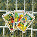 tarot kortos trijų kortų išdėstymas su spalvotomis vidinėmis iliustracijomis ir žalios ornamentuotos nugarėlės