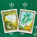 Tarot kortos, dviejų botaniškai iliustruotų kortų variantas (Chamomile ir Celtic Bean) ant žalio fono, priekiniame plane