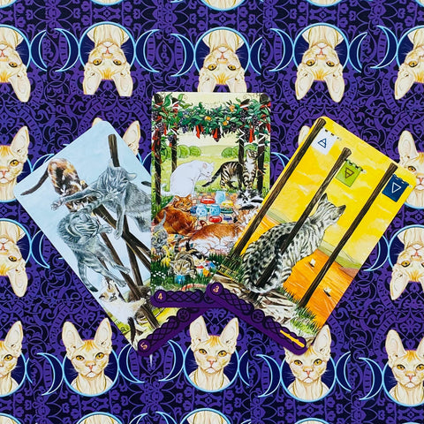 Tarot kortos trijų iliustruotų katėmis variantų komplektas – geltona, žalia ir violetinė korta iš viršaus ant violetinio katinų rašto