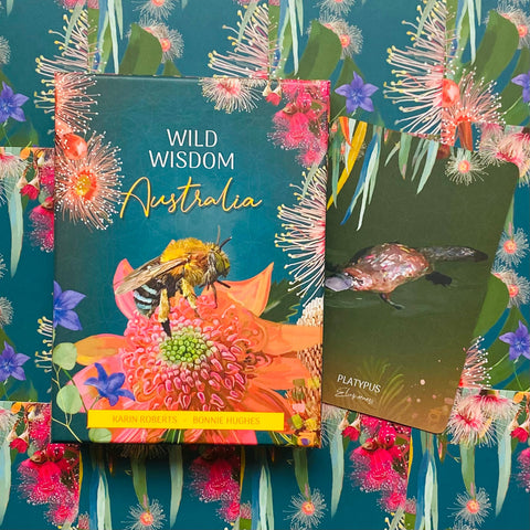 Kortų rinkinys Wild Wisdom Australia su turkio dėže ir bitės iliustracija ant rožinio žiedo, šalia atversta platypus korta dešinėje