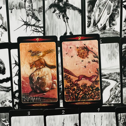 Tarot kortos rudos atspalviais — dvi kortos su lapės ir paukščio iliustracijomis, stambus planas kontrastingam fonui