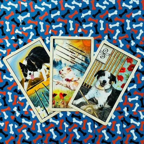 Tarot kortos su šunų iliustracijomis, trys išklotos kortos ant mėlyno kaulų rašto fono, artimas kampas