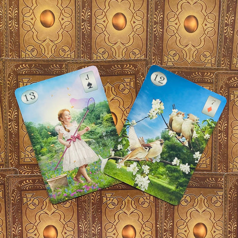Kortos lenormand stiliaus, dvi versijos — mergaitė su tinklu ir žydinčių šakų paukščiai, ryškios spalvos ir detalus piešinys