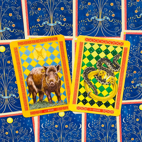 Tarot kortos atverstos — laukinio šerno ir gyvatės kortos su geltonais rėmais ir mėlynomis nugarėlėmis, artimas planas