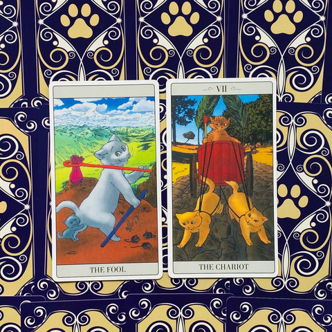 Tarot kortos su kačių iliustracijomis, dvi didžiosios arkannos (The Fool, The Chariot) priekyje, ryškios mėlyno ir aukso nugarėlės raštai