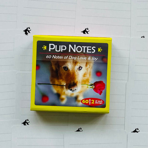 Pup Notes kortelės dėžutėje — geltona 60 kortelių pakuotė su auksinio retriverio motyvu, laikomu raudoną rožę, pakuotės viršelis