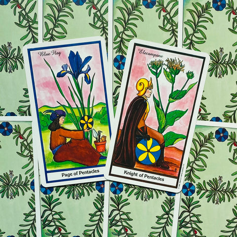 Tarot kortos – dvi atverstos Pentaklių kortos (Page of Pentacles ir Knight of Pentacles) su ryškiais augaliniais motyvais, kampu išdėstytos ir skirtos kortų meno detalėms parodyti