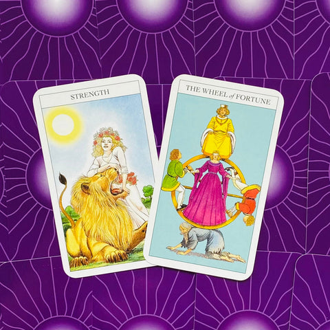 Beginners Guide To Tarott kortos ir knyga