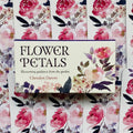 Flower Petals kortų rinkinys Cheralyn Darcey: kremiška dėžutė su vandens dažų gėlių raštu ant dekoratyvaus fono