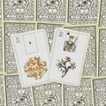 Tarot kortos su ornamentiniu akių raštu nugarėlėse, dvi atverstos kortos (31 deimantėlis ir 30 karalius) matomos iš viršaus, pabrėžiančios skirtingus iliustracijų variantus