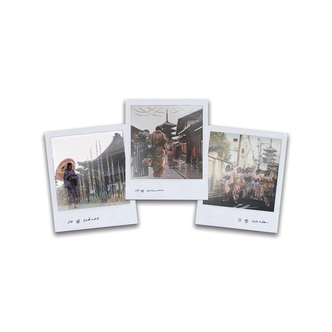 Wild Lands Taro kortos (78) su anglišku vadovu – Sacred Scribe Publishing