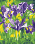 Tapyba Pagal Skaičius: „Violetiniai vilkdalgiai“ 40x50 cm