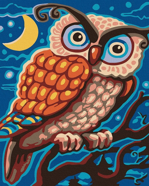 Tapybos rinkinys "Owl in the night"