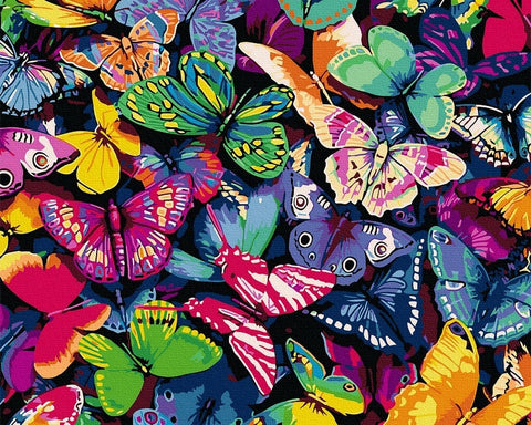 Tapybos rinkinys "Butterflies"