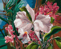 Tapyba Pagal Skaičius: „Tropinės orchidėjos“ 40x50 cm