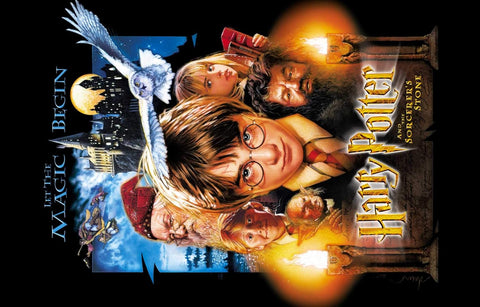 Harry Potter plakatas stačiu kampu su Hario, Hermionės ir Dumbledore'o portretais ir naktiniu Hogvartso fone