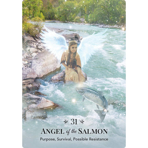 Angels of Nature Oracle – gamtos angelų orakulo kortos, Hay House