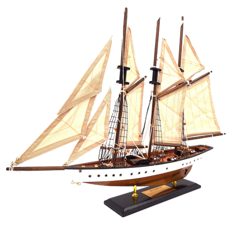 Trijų stiebų škuna „Atlantic“ – medinis burlaivio modelis 52×46 cm