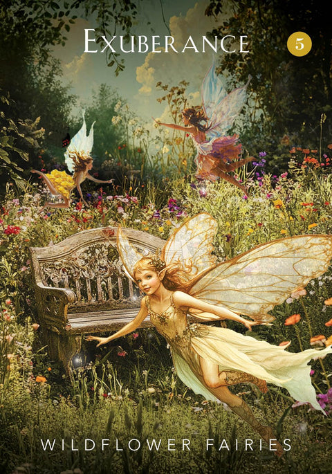 Mystical Garden orakulo kortos su knygele (44) – Hay House