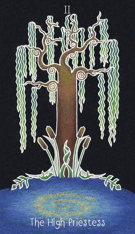 Animystic Tarot: 78 kortų kaladė su vadovu – gamtos magijos įkvėpta