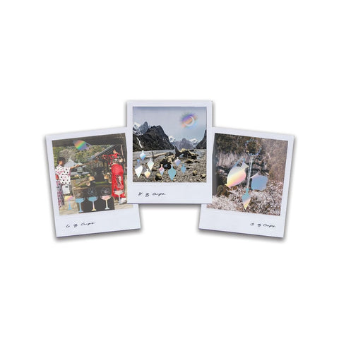 Wild Lands Taro kortos (78) su anglišku vadovu – Sacred Scribe Publishing