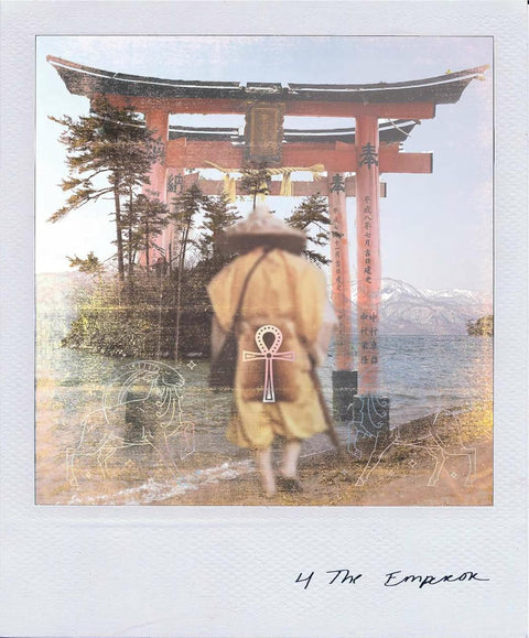 Wild Lands Taro kortos (78) su anglišku vadovu – Sacred Scribe Publishing