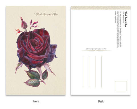 The Goth Garden: Dark Blooms – 50 gotikinių botaninių atvirukų rinkinys