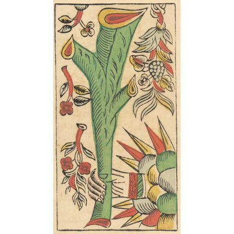 Tarot de Marseille Gassmann riboto leidimo taro kortos kolekcininkams