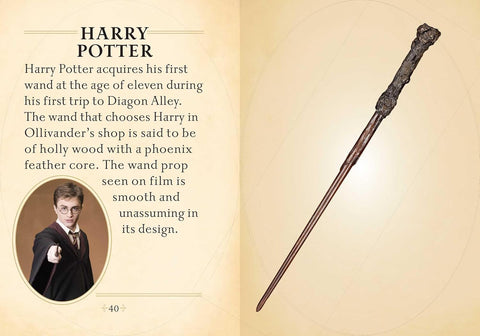 Harry Potter mini lazdelių knyga – iliustruotas kolekcinis vadovas