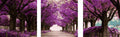Tapyba Pagal Skaičius: „Violetinių žiedų takas“ (trijų dalių) 40x50 cm