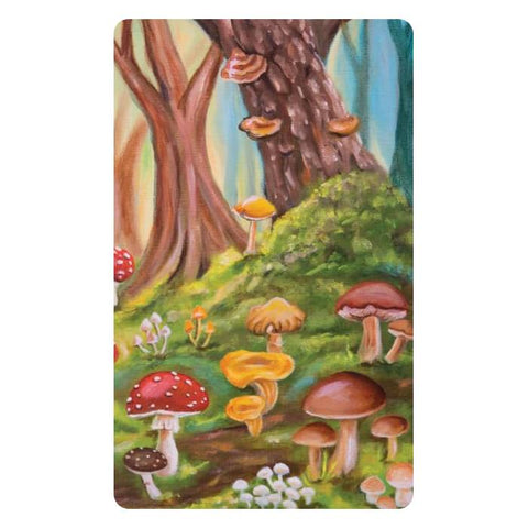 Mushroom Folk orakulo kortos – 42 kortų kaladė intuicijai ir savęs pažinimui