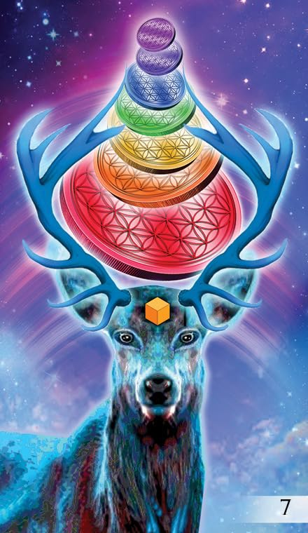 Unifying Consciousness Taro kaladė, 79 kortos su vadovu, Rider–Waite