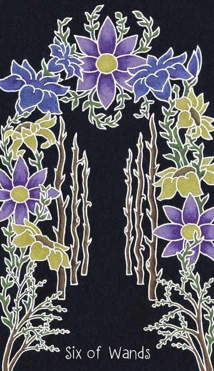 Animystic Tarot: 78 kortų kaladė su vadovu – gamtos magijos įkvėpta