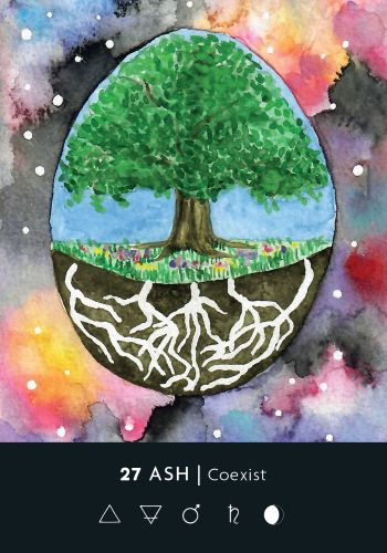 Ritual Deck ritualų kortos – intuicijai, mėnulio fazėms ir energijoms