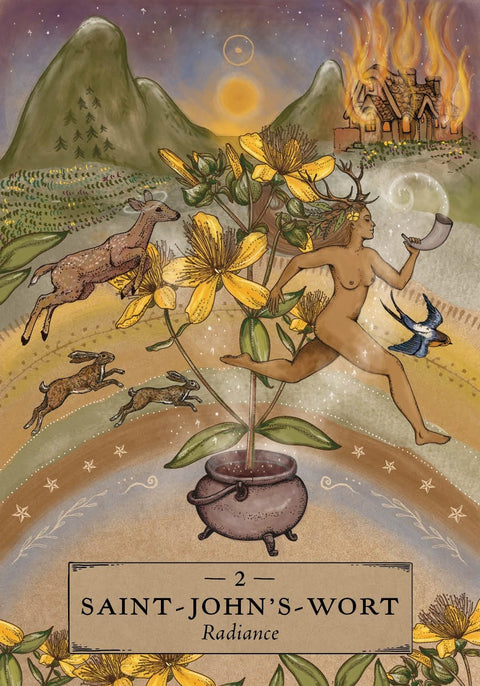 Žolelių astrologijos kišeninis orakulas – 55 kortų kaladė dvasinei praktikai