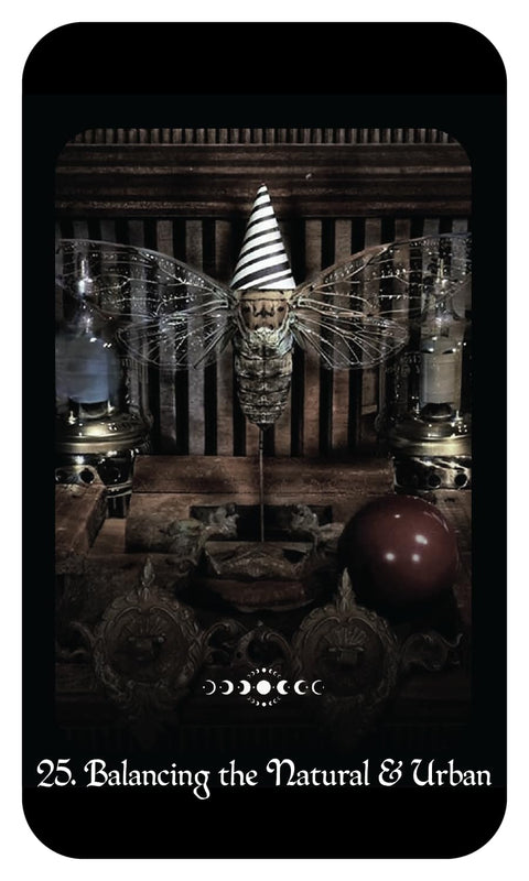 Gothic Witch's Oracle orakulo kortos – raganoms, 40 kortų + vadovas