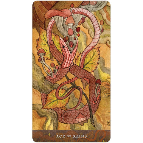 Blood Moon Tarot prabangi taro kaladė su knyga, 78 akvarelės kortos