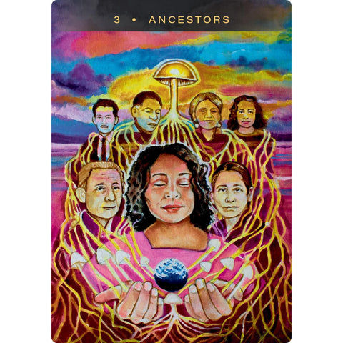 Sacred Mushroom Oracle šamaninės orakulo kortos anglų kalba