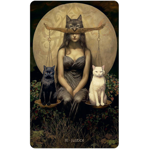 W.I.T.C.H. Tarot kortos su paauksuotais kraštais, vadovu ir maišeliu