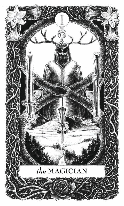 Lieselle Eternal Tarot – 78 Taro kortų kaladė su vadovu